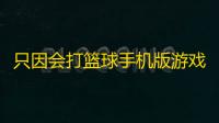 只因会打篮球手机版游戏v1.5 人气热度：20℃
